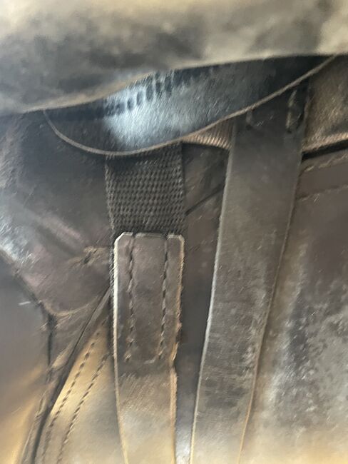 Dressursattel Passier Grand Gilbert ,,17‘‘, Passier Grand Gilbert, Susi, Dressage Saddle, Prem, Image 6