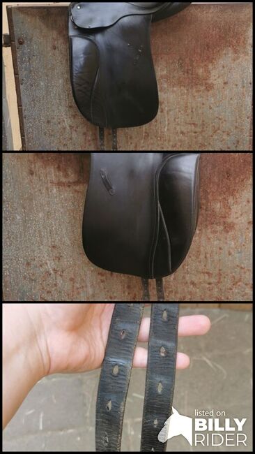 Dressursattel Passier Grand Gilbert, Passier  Grand Gilbert , Katharina , Dressage Saddle, Pfaffen-Schwabenheim, Image 4