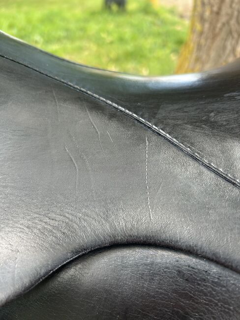 Dressursattel Passier, Passier Grand Gilbert, Ophelie Bley, Dressage Saddle, Stendal, Image 7