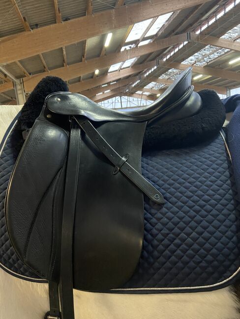 Dressursattel Passier, Passier Grand Gilbert Zoll 17,5 , Nicole Theis, Dressage Saddle, Alzey