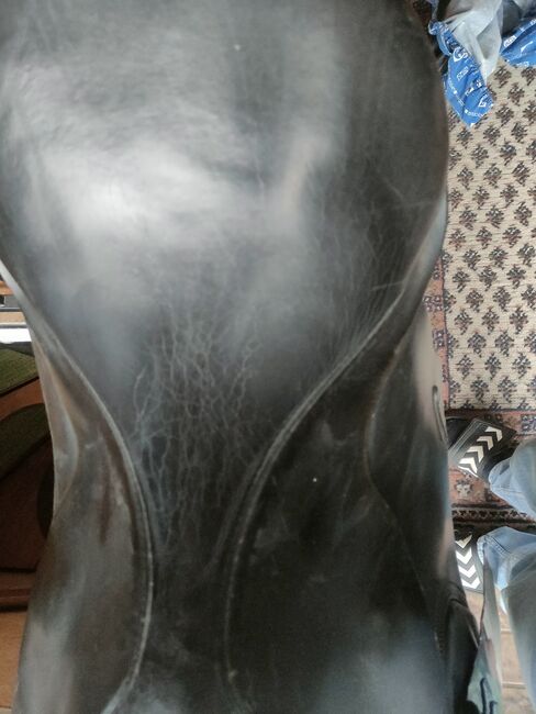 Dressursattel Passier Optimum 17", Passier Optimum, Cordula, Dressage Saddle, Salzgitter Bleckenstedt, Image 2