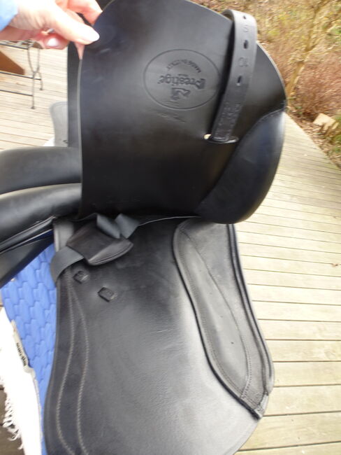 Dressursattel Prestige "Bergamo" - fast neuwertig !, Passier  Bergamo, E. Binder, Dressage Saddle, Waldkirchen, Image 5