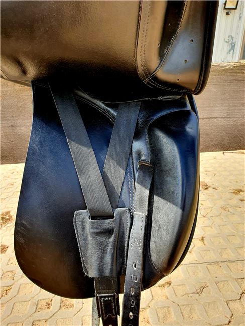 Dressursattel Prestige Doge, Prestige Doge, Lucie Weber, Dressage Saddle, Rochlitz, Image 5