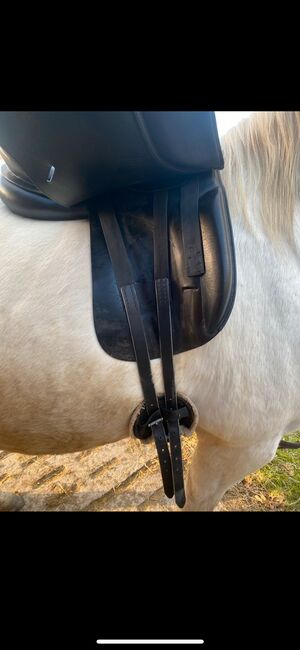 Dressursattel Prestige Hippos Dressage 17/33, Prestige  Hippos Dressage , Knorr, Dressage Saddle, FRIEDRICHSTADT , Image 7