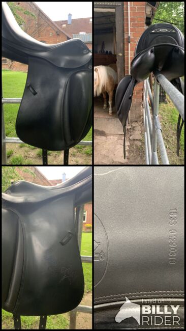 Dressursattel Prestige, Prestige  X-Helen K Luxleder, Susen Fiedler , Dressage Saddle, Wunstorf , Image 9