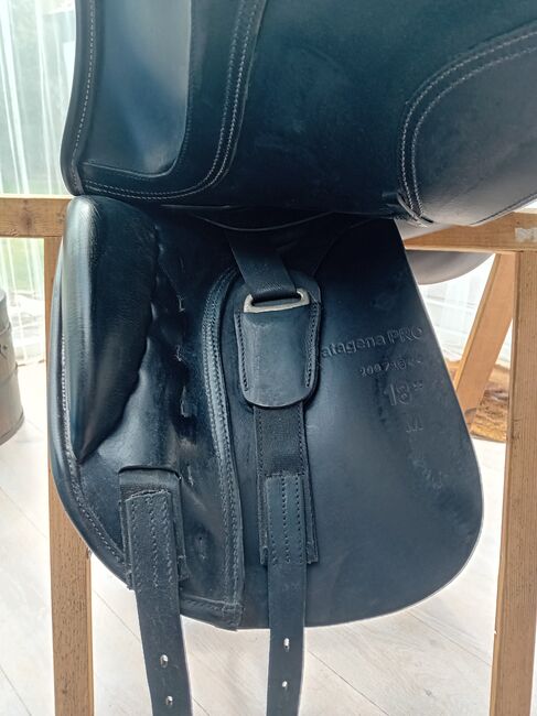 Dressuurzadel Seaɓis Catagena Pro 18", Seabis  Catagena Pro, Silvia , Dressage Saddle, Berlicum , Image 9