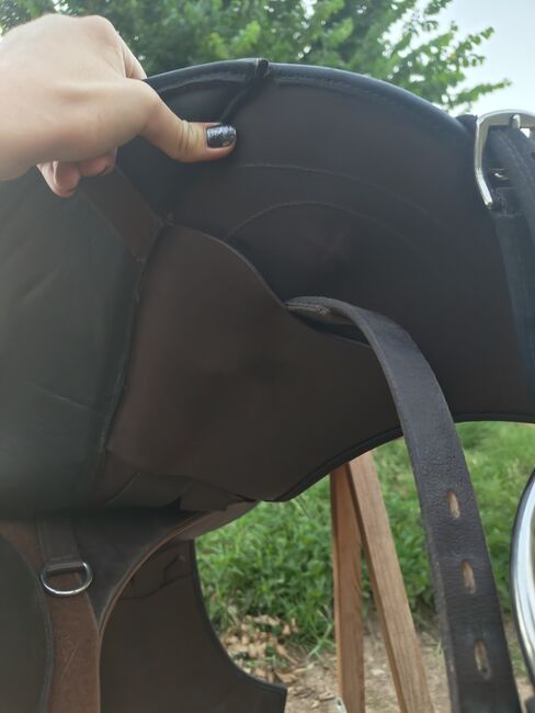 Dressursattel Signum Omega Sattel Kenzie Dysli, Signum Kenzie Dysli Omega, Wiebke Hermyt, Dressage Saddle, Bernau bei Berlin, Image 2