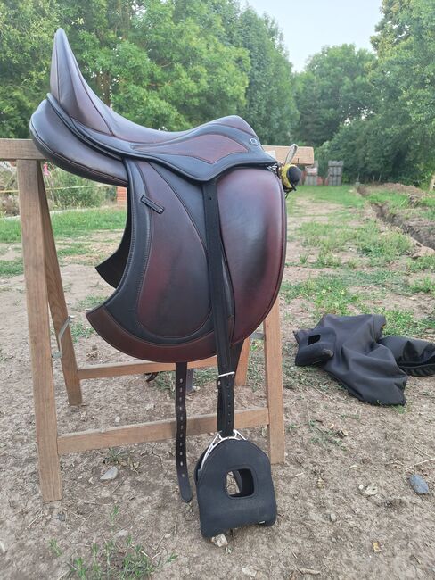 Dressursattel Signum Omega Sattel Kenzie Dysli, Signum Kenzie Dysli Omega, Wiebke Hermyt, Dressage Saddle, Bernau bei Berlin, Image 3
