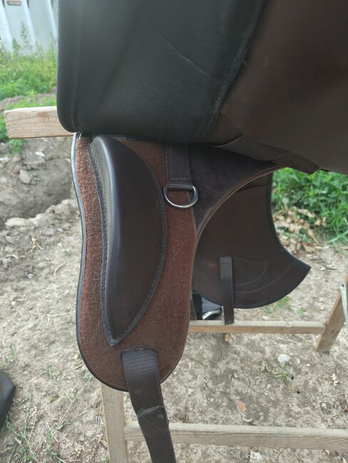 Dressursattel Signum Omega Sattel Kenzie Dysli, Signum Kenzie Dysli Omega, Wiebke Hermyt, Dressage Saddle, Bernau bei Berlin, Image 4