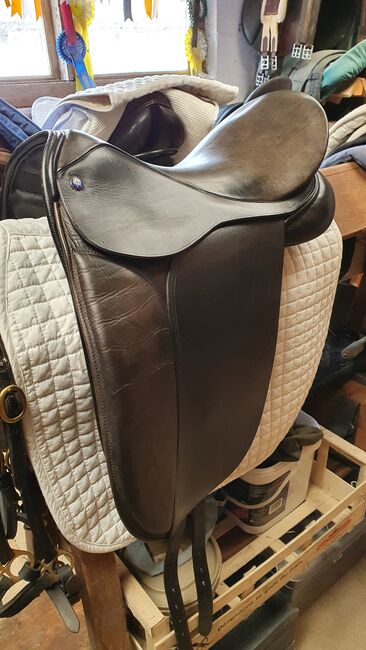 Dressage Saddle, Kelly , Siodła ujeżdżeniowe, Image 6