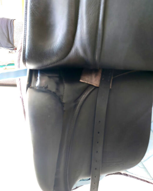 Dressursattel Stübben 17", Stübben, Janina Beilfuß, Dressage Saddle, Ahrensbök, Image 12