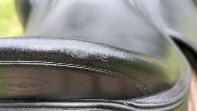 Dressursattel, Testsattel, Prestige Leonardo, Prestige  Leonardo, Sarah Feiler, Dressage Saddle, Schwäbisch Gmünd, Image 9