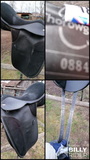 Dressursattel, Thorowgood  Dressursattel , Sabine, Dressage Saddle, Fels am Wagram, Image 7