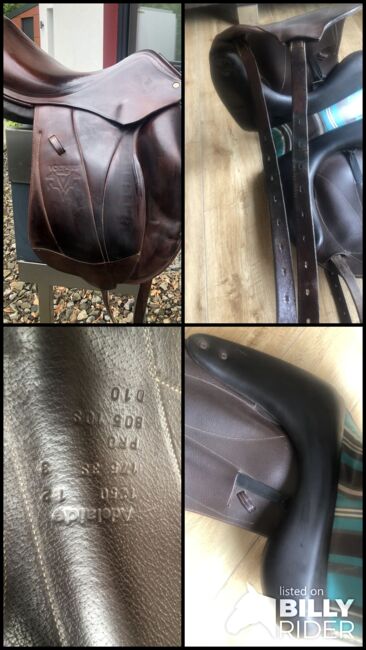 Dressursattel Voltaire 17,5er Sattel, Voltaire Adelaide, Anna, Dressage Saddle, Werne, Image 11