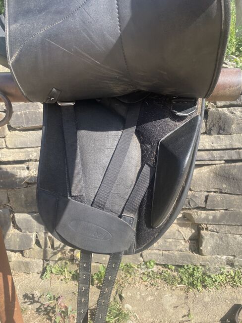 Dressursattel Wintec Isabell Werth, Wintec , Nelly Bätzel, Dressage Saddle, Freudenberg , Image 2
