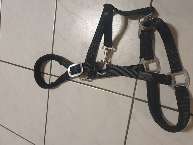 Dressurset in schwarz, Busse, komplett unbenutzt, Busse Jenalie, Kiki, Dressage Pads, Burgwedel, Image 7