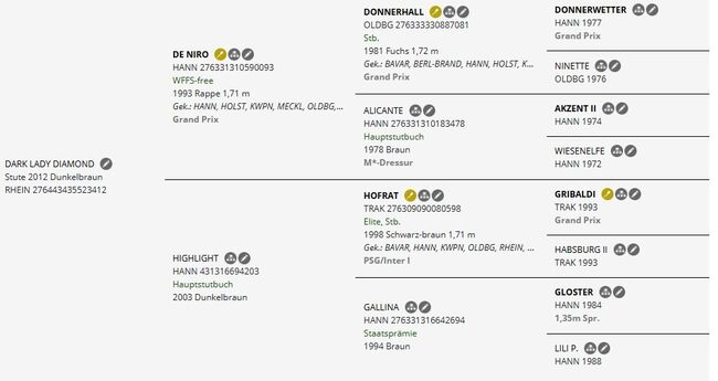 #dressagedream #goldenheart Rheinländer, Stute, 13 Jahre, Schwarzbraun, 1,65m Stm., WOW Pferd  (WOW Pferd), Pferd kaufen, Bayern - Attenkirchen, Abbildung 5