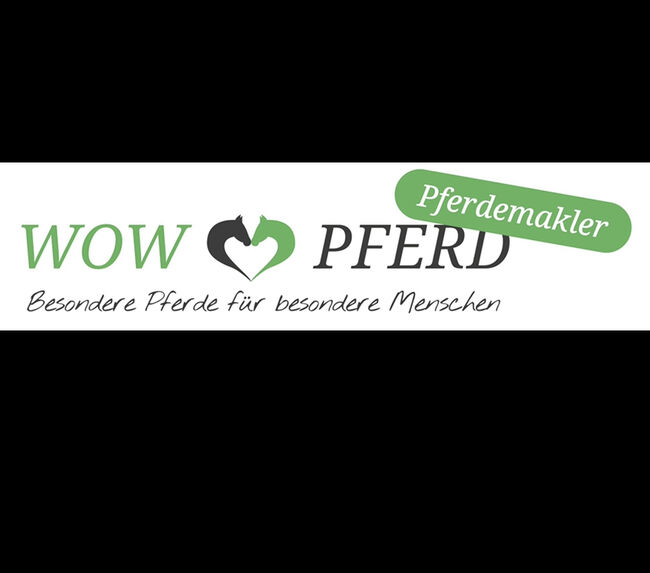 #dressagemare #futureprospect, WOW Pferd  (WOW Pferd), Horses For Sale, Bayern - Attenkirchen, Image 2