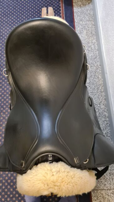 Dressur Sattel 17" Busse Anky Painted Black, Busse Anky , Claudia Kruse , Dressursattel, Sprakensehl , Abbildung 8