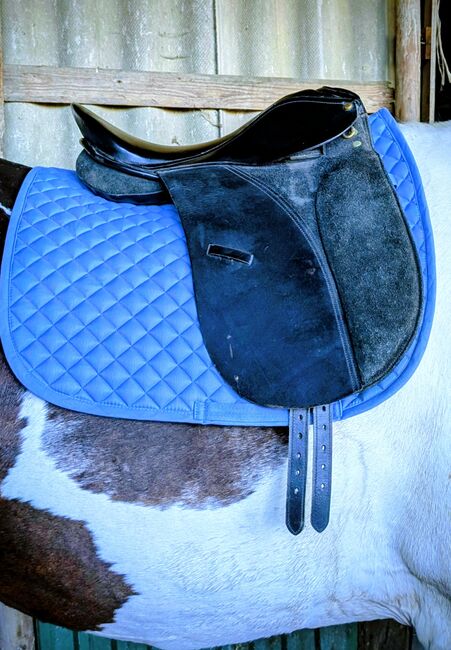 Dressursattel,17 Zoll, Equi Bette , Mona Hoffmann, Dressursattel, Wahlstorf