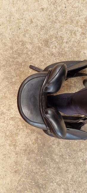 Dressursattel Euroriding Amethyst, J.Knuth, Dressage Saddle, Pokrent, Image 2