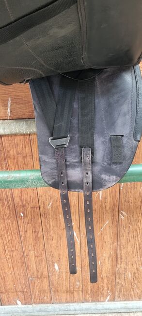 Dressursattel Euroriding Amethyst, J.Knuth, Dressage Saddle, Pokrent, Image 5
