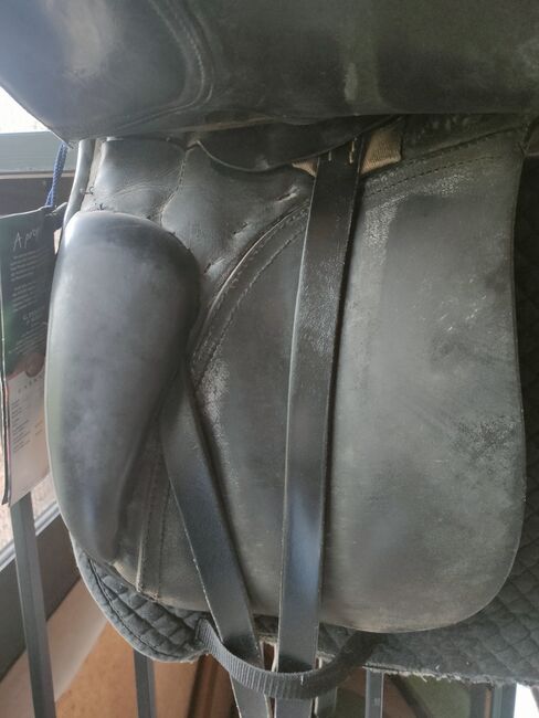 Dressursattel Passier Optimum 17", Passier Optimum, Cordula, Dressursattel, Salzgitter Bleckenstedt, Abbildung 4