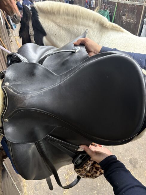 Dressursattel Wintec Bates, Wintec Bates, Kessy, Dressursattel, Wilhelmshaven, Abbildung 7