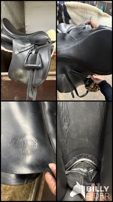 Dressursattel Wintec Bates, Wintec Bates, Kessy, Dressursattel, Wilhelmshaven, Abbildung 9