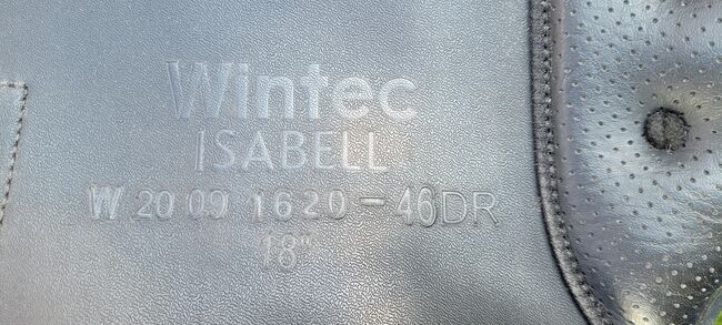 Dressursattel Wintec Isabell Werth HART 18 Zoll, Wintec Isabell Werth HART, Ulrike, Dressursattel, Hagen, Abbildung 13