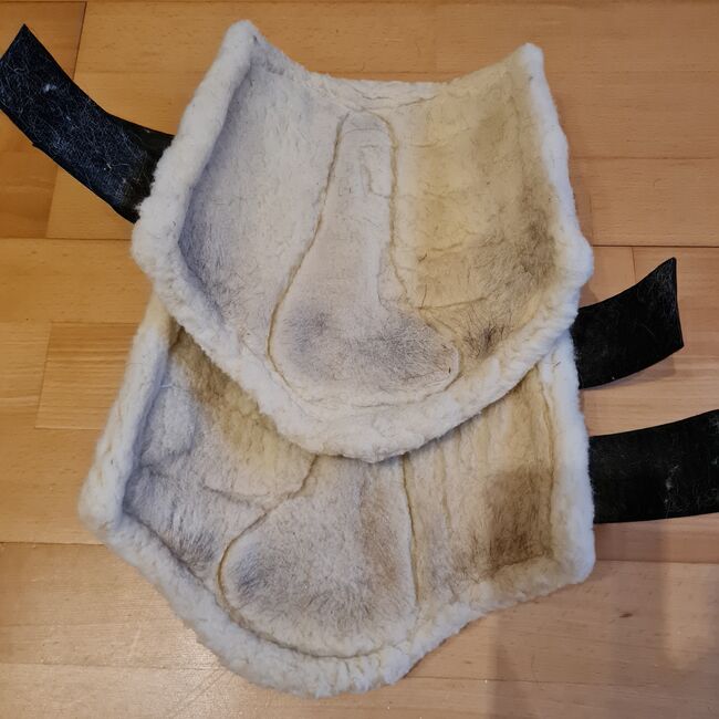 Dressur Gamaschen schwarz Equest Größe M, Equest, Annika Wagner , Tendon Boots, Mayen, Image 2
