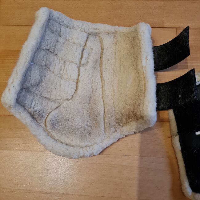 Dressur Gamaschen schwarz Equest Größe M, Equest, Annika Wagner , Tendon Boots, Mayen, Image 6