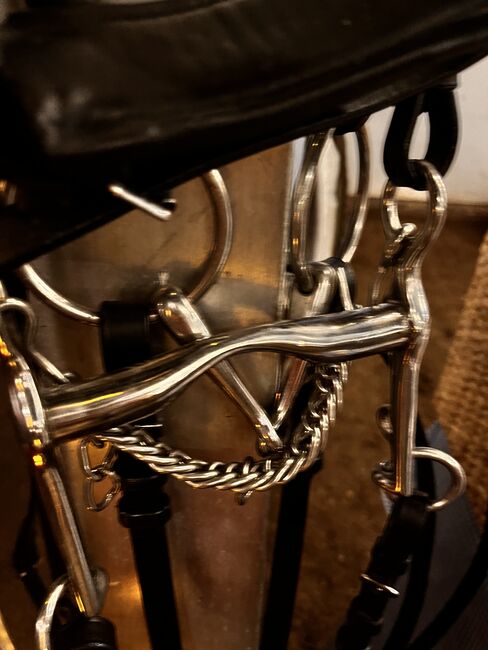 Dressur-Kandare, Kandare, Catharina Carlsen, Bridles & Headstalls, Norderney, Image 3