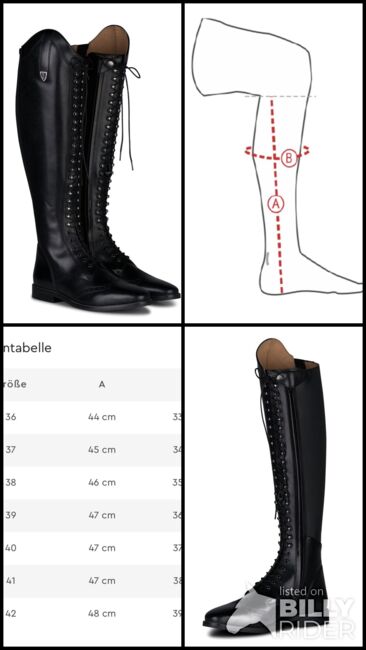 Dressurstiefel Horze, Horze, Eva Wagner, Riding Boots, Untermerzbach, Image 6