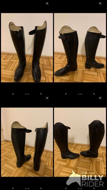 Dressur Reitstiefel Felix bühler gr 39 wide, Felix bühler Sevilla, Lg Julia, Riding Boots, Linz, Image 6