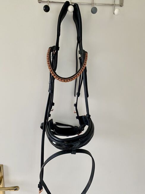 Dressur Starterset, Kiefer / Tyson‘s / DT Action, Christiane, Saddle Accessories, Jülich, Image 5