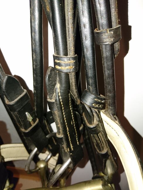 Dressurkandarre, Marisa Gotteswinter, Bridles & Headstalls, Gelsenkirchen, Image 2