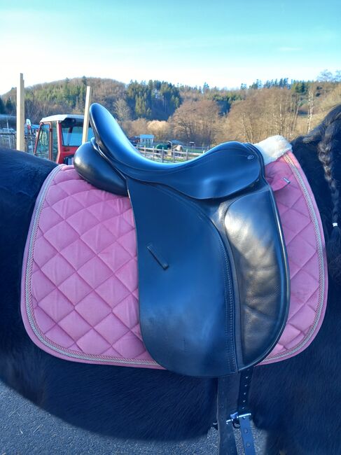 Dressursattel County Competitor, County  Competitor , Michelle Spitzl , Dressage Saddle, Büdlich , Image 2