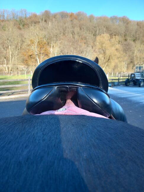 Dressursattel County Competitor, County  Competitor , Michelle Spitzl , Dressage Saddle, Büdlich , Image 6