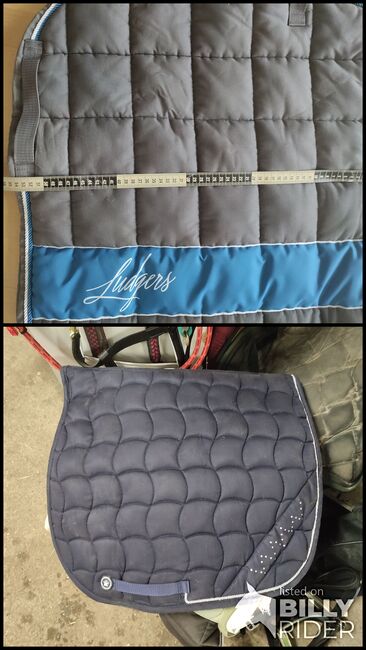 Dressurschabracken, Julia Reichard, Dressage Pads, Aachen, Image 3