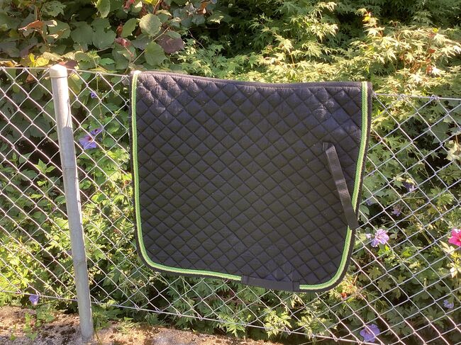 Dressurschabracken zu verkaufen, Regina Haas, Dressage Pads, Wasterkingen, Image 10