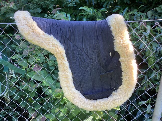 Dressurschabracken zu verkaufen, Regina Haas, Dressage Pads, Wasterkingen, Image 3