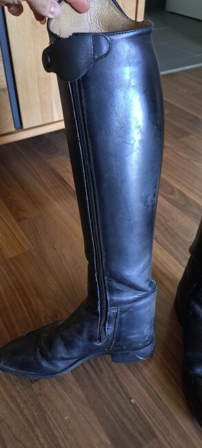 Dressurstiefel, Cavallo, Gänseblümchen , Riding Boots, St.Pölten, Image 3