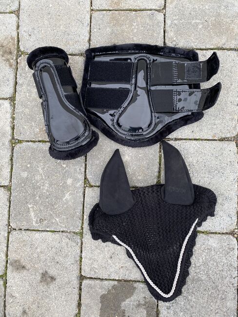 Dressurgamaschen und Fliegenohren, RidersDeal / Eskadron, Jana, Tendon Boots, Wannweil