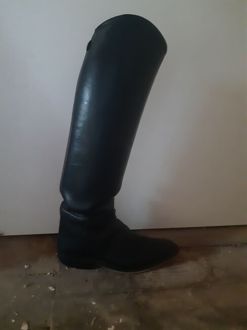 Dressurstiefel/ Reitstiefel Größe 39, Regent, Dania, Riding Boots, Ummendorf, Image 2