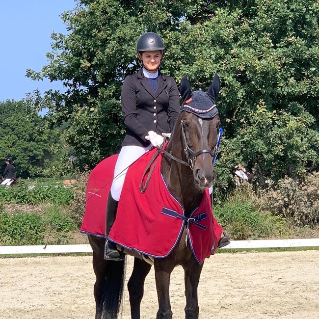 Dressurpferd, Ilka Klüver, Horses For Sale, Sieversdorf, Image 9