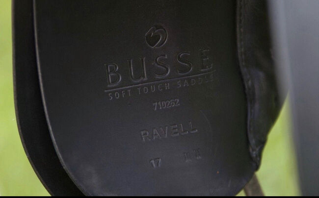 Dressurprüfung Busse/Passier Ravell, Busse , Hafiii , Dressage Saddle, Oberhausen, Image 2