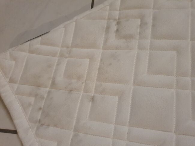 Dressurset weiß mit Eskadron,  unbenutzt, Kiki, Dressage Pads, Burgwedel, Image 11