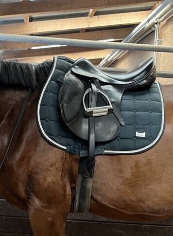 Dressursattel 17 Zoll, Vaney, Dressage Saddle, Seuzach, Image 2