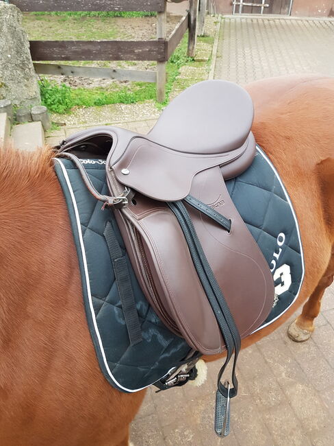 Dressursattel, 17 Zoll, Tekna, braun, Tekna  Icelandik, s-line, Heike Oestern , Dressage Saddle, Zellertal